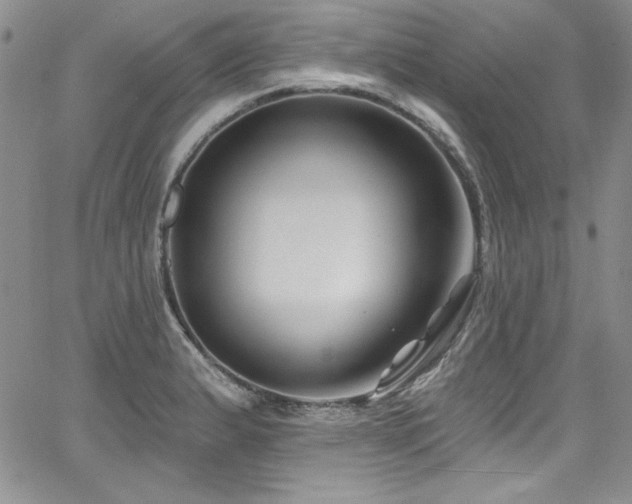 X0000068271183200604211102