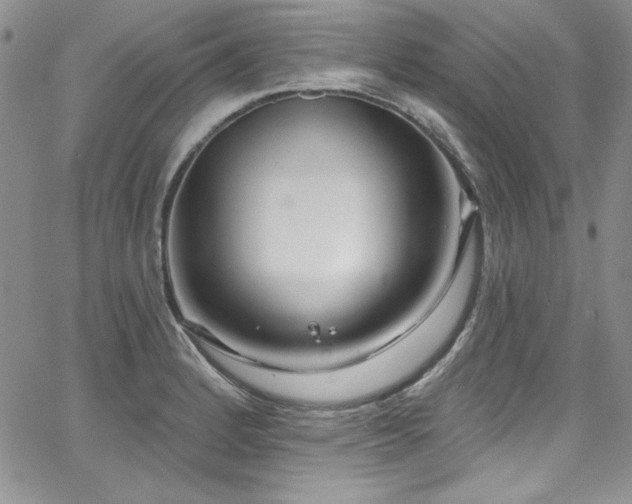 X0000068271184200604211102