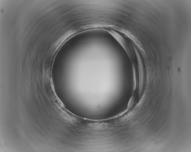 X0000068271185200604211102