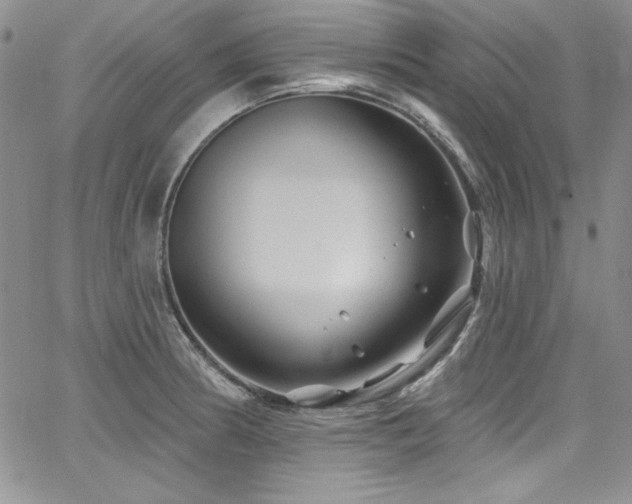 X0000068271186200604211102