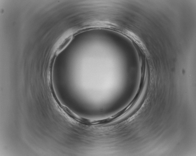 X0000068271188200604211102