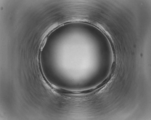 X0000068271189200604211102