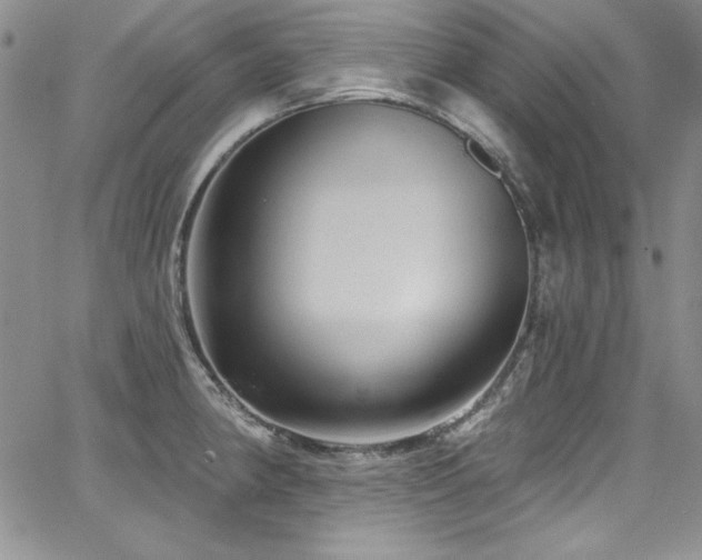 X0000068271190200604211102