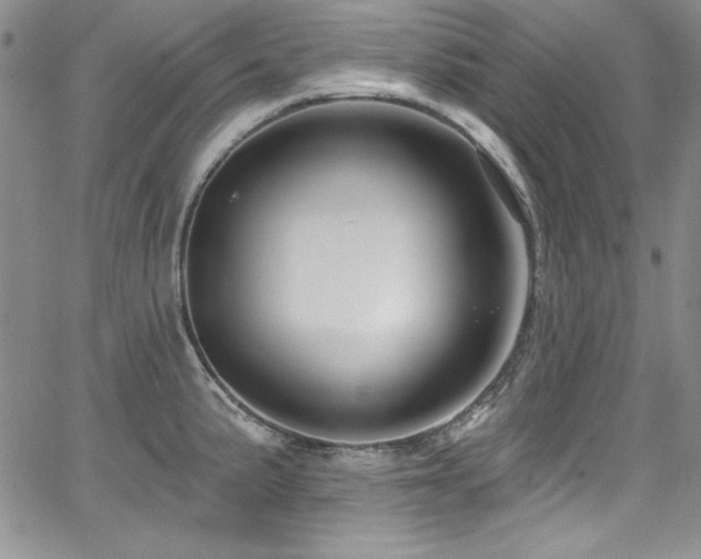 X0000068271191200604211102