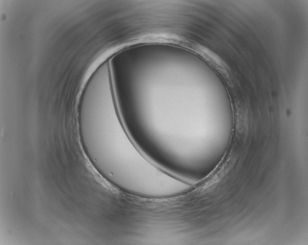 X0000068271192200604211102