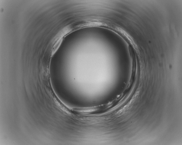 X0000068271193200604211102