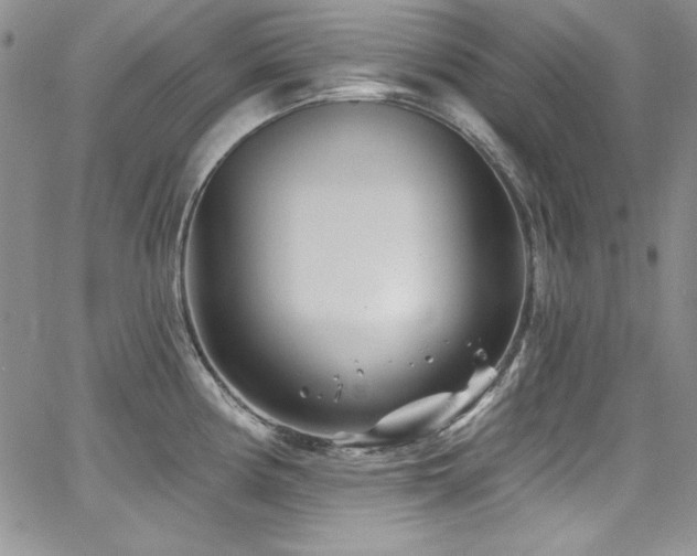 X0000068271194200604211102