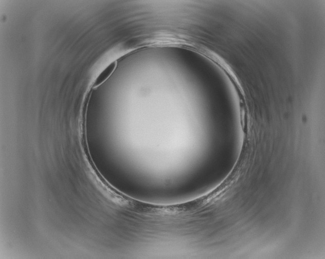 X0000068271195200604211102