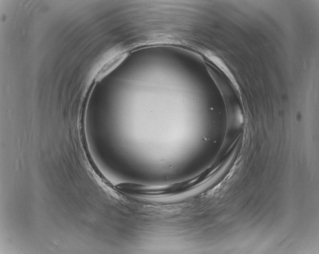 X0000068271197200604211102