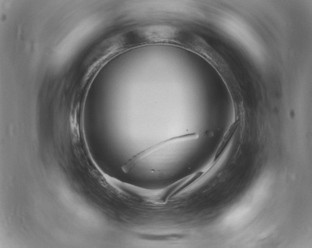 X0000068271198200604211102