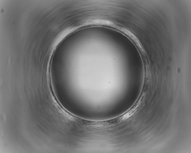 X0000068271199200604211102