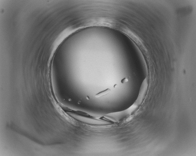 X0000068271200200604211102