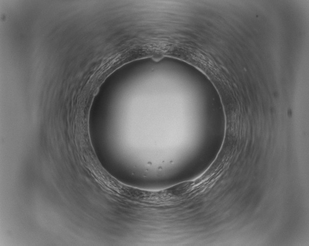 X0000068271201200604211101