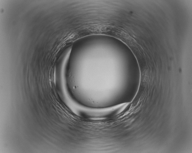 X0000068271202200604211101