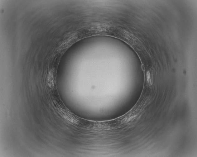 X0000068271203200604211101