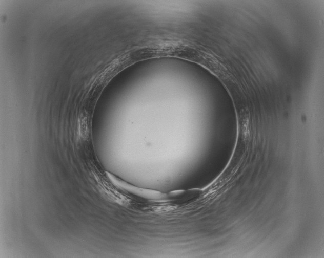 X0000068271204200604211101