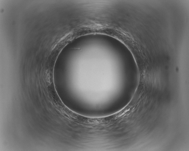 X0000068271205200604211101