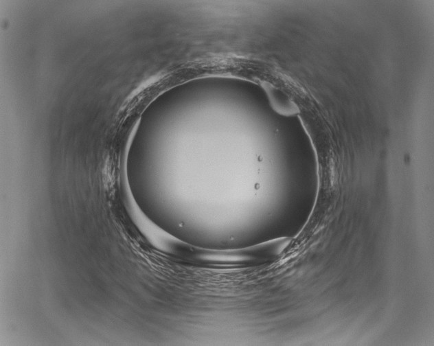 X0000068271206200604211101