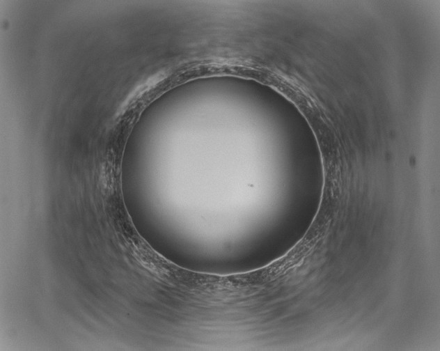 X0000068271207200604211101