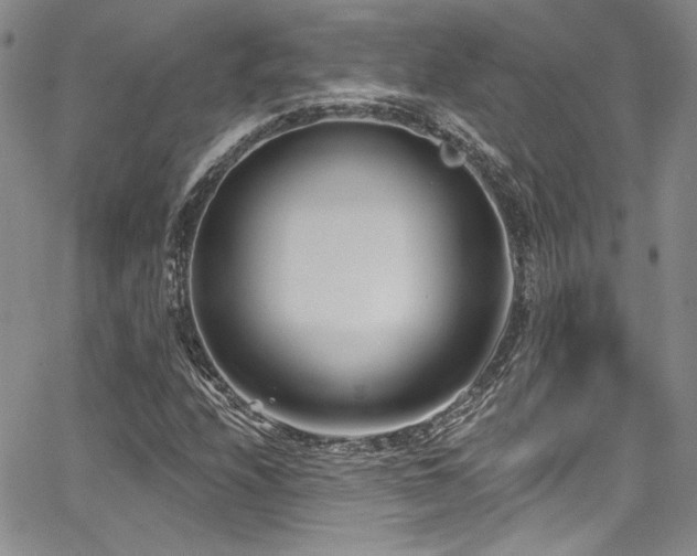 X0000068271208200604211101