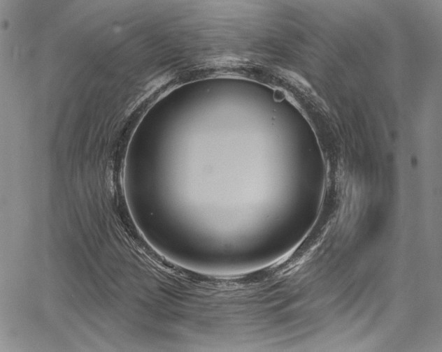 X0000068271209200604211101