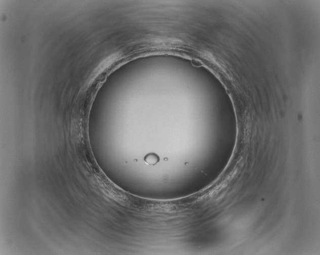 X0000068271211200604211101