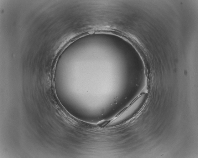 X0000068271212200604211101