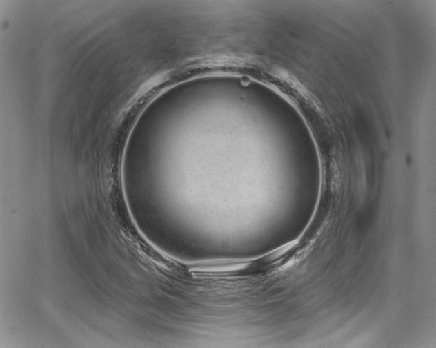 X0000068271213200604211101