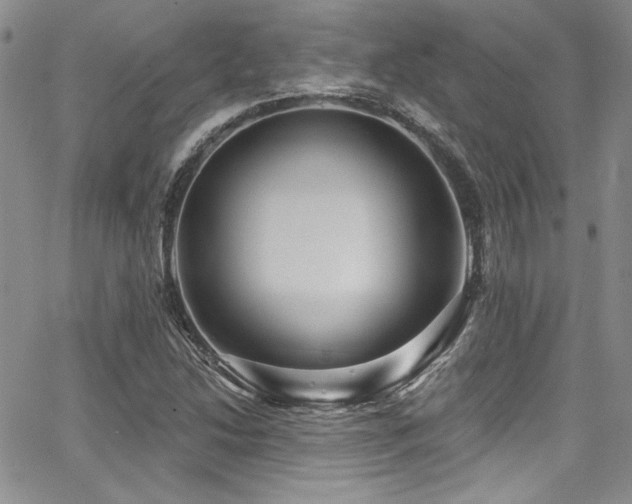 X0000068271214200604211101