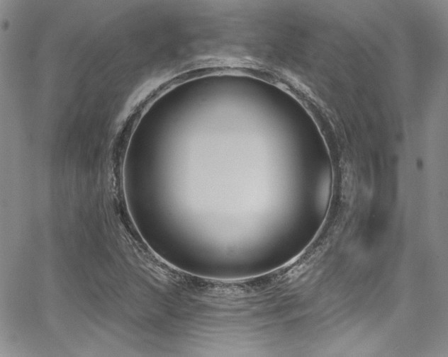 X0000068271215200604211101