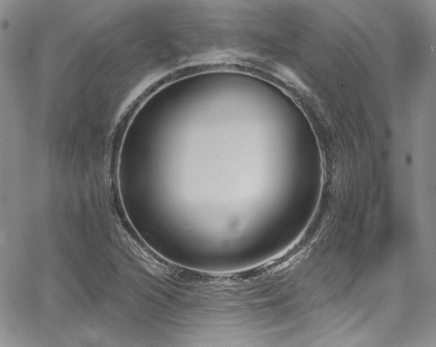 X0000068271216200604211102