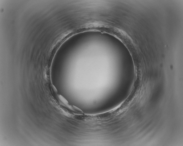 X0000068271217200604211102