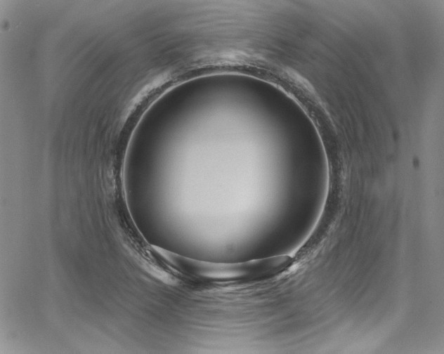 X0000068271218200604211102