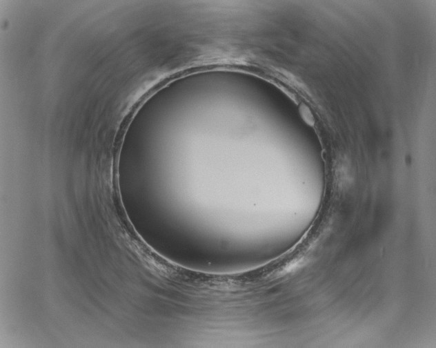 X0000068271220200604211102