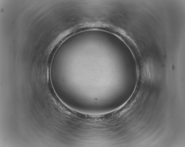 X0000068271221200604211102