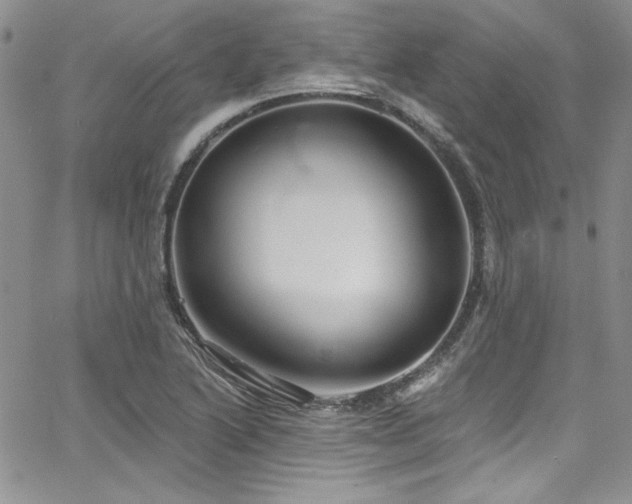 X0000068271222200604211102