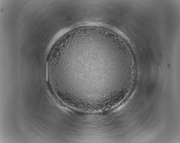 X0000068271223200604211102