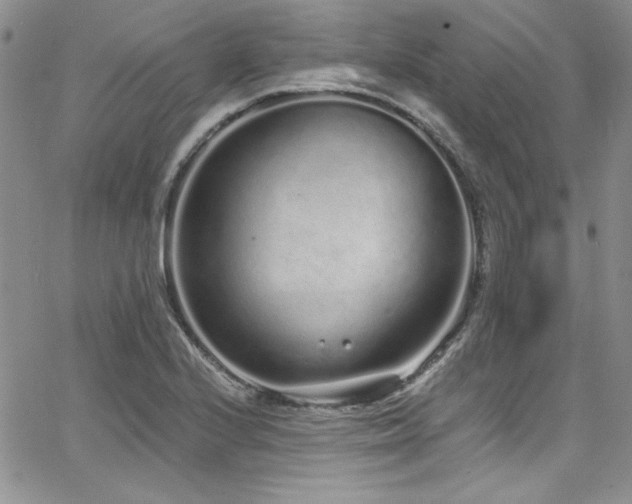 X0000068271224200604211102