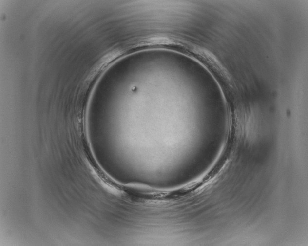 X0000068271225200604211102