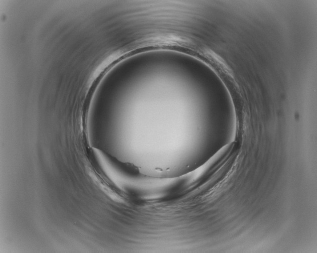 X0000068271226200604211102