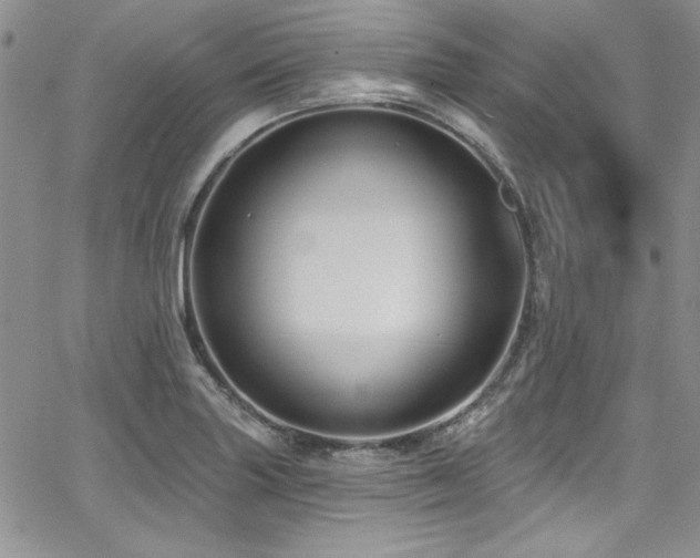 X0000068271227200604211102