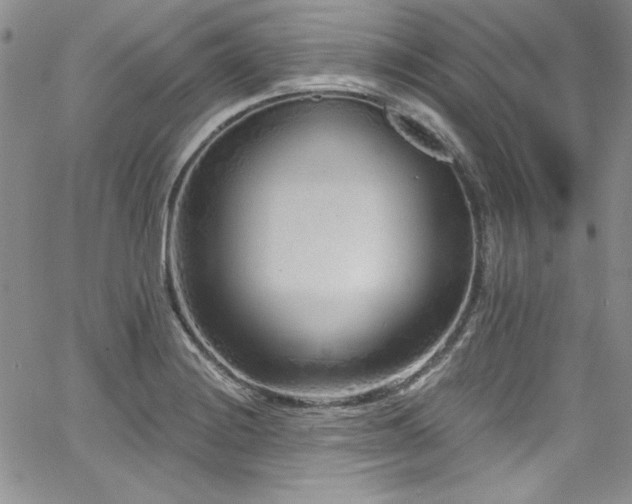 X0000068271228200604211102