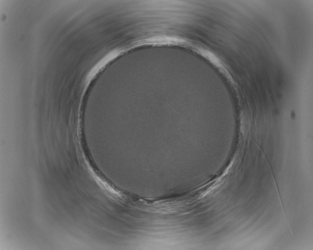 X0000068271229200604211102