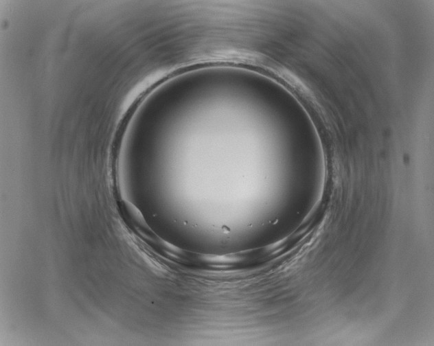 X0000068271230200604211102