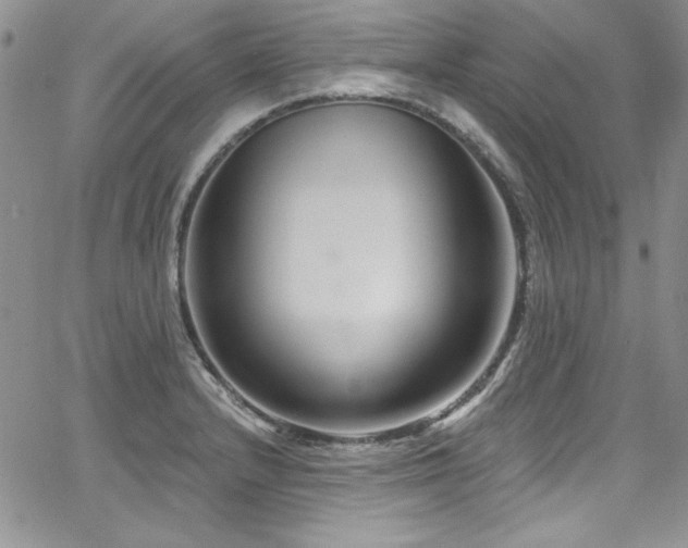 X0000068271232200604211102