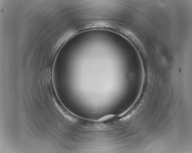 X0000068271233200604211102