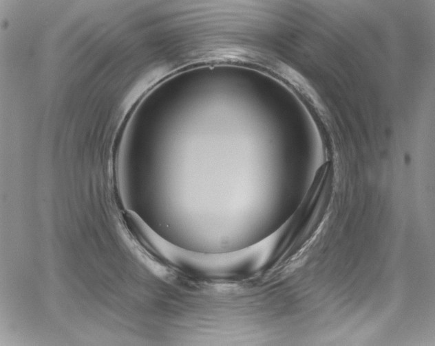 X0000068271234200604211102