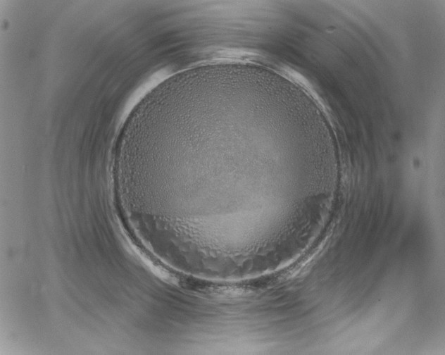 X0000068271235200604211102