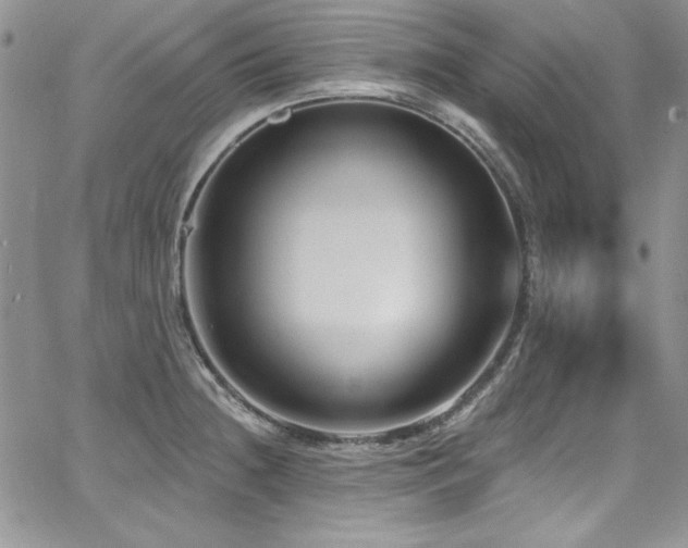 X0000068271236200604211102