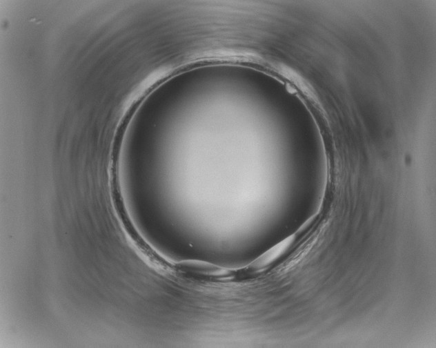 X0000068271237200604211102